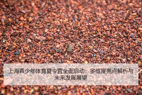 shang-hai-qing-shao-nian-ti-yu-xia-ling-ying-quan-mian-qi-dong-duo-wei-du-liang-dian-jie-xi-yu-wei-lai-fa-zhan-zhan-wang-2-551.jpg